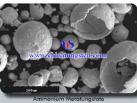 Metatungstate de amonio SEM Image